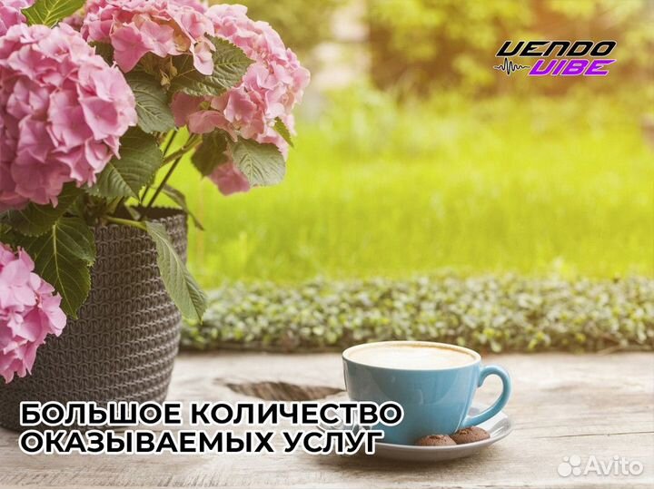 VendoVibe: Гарантированный успех