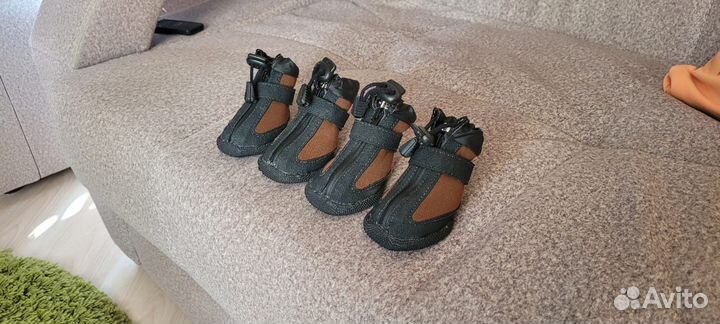 Обувь для собак