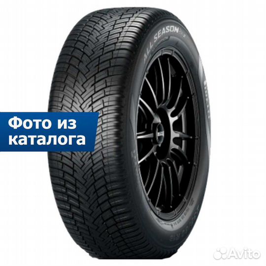 Pirelli Scorpion All Season SF2 255/55 R19 W
