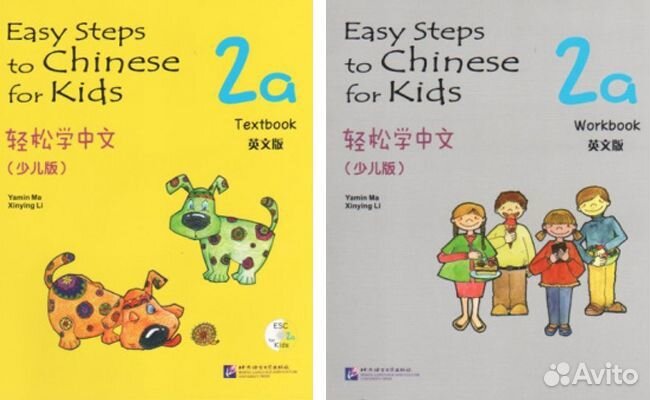 Easy steps to chinese for kids