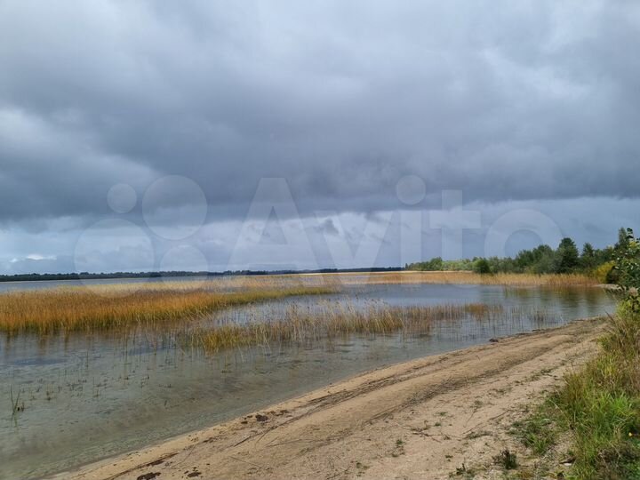 Участок 4,27 га (СНТ, ДНП)