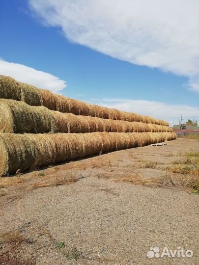 Сено в рулонах