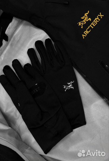 Перчатки Arcteryx Delta Glove Gore-Tex