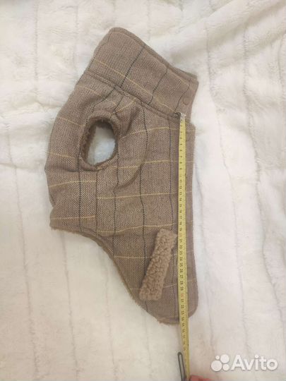 Одежда для собак