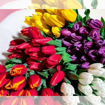 Тюльпаны оптом с теплицы