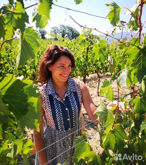 Уроки итальянского языка (italiano)