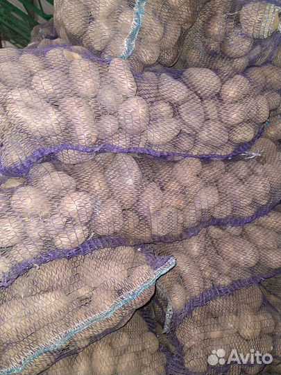 Продам картофель некондиция