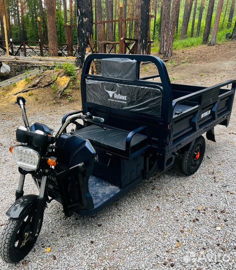 Грузовой электротрицикл Rutrike D4 1800 60V1200W