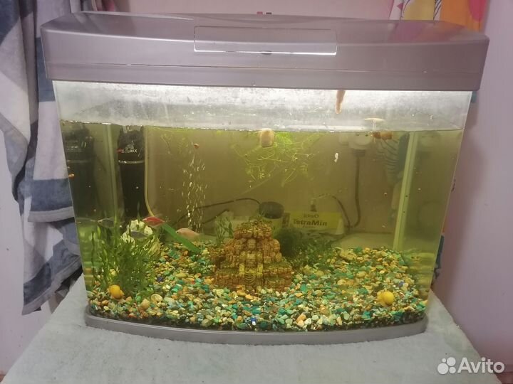 Аквариум 100л