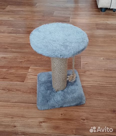 Когтеточка