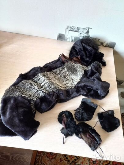 Одежда для собак