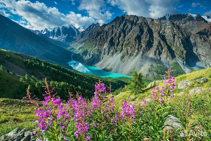 Тур авторский « Алтай. все красоты» 15-21 июля