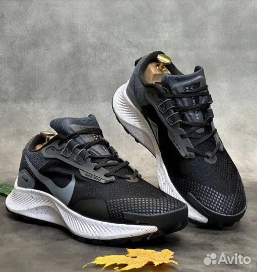 Nike air zoom pegasus (41)