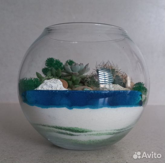 Флорариум подарок цветы