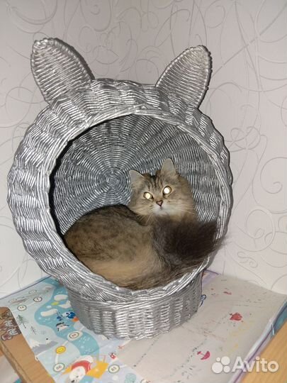 Домик для кота или маленькой собачки