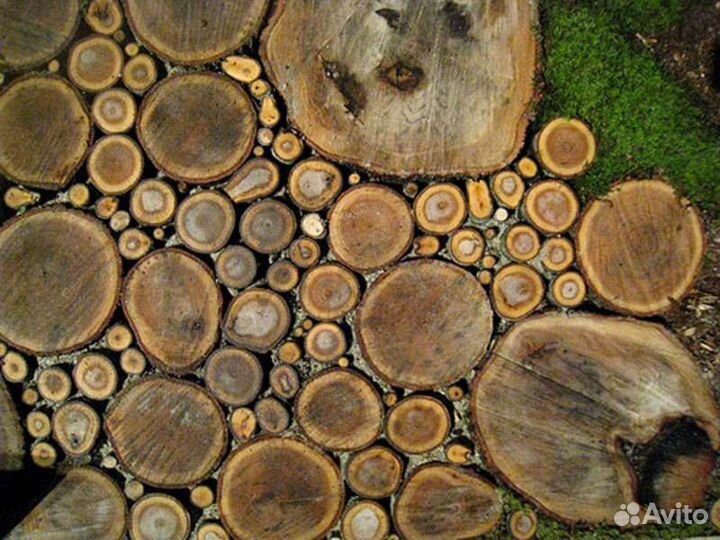 Слэб дерева и спилы для мощения дорожек