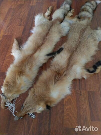 Шкуры лисы