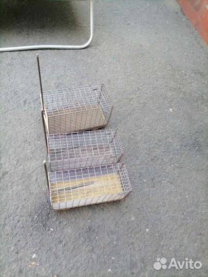 Хомяколовка крысоловка