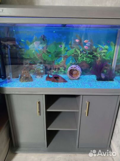 Аквариум