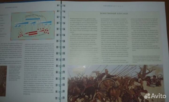 Великие битвы Мэн Джон, Ньюарк Тим