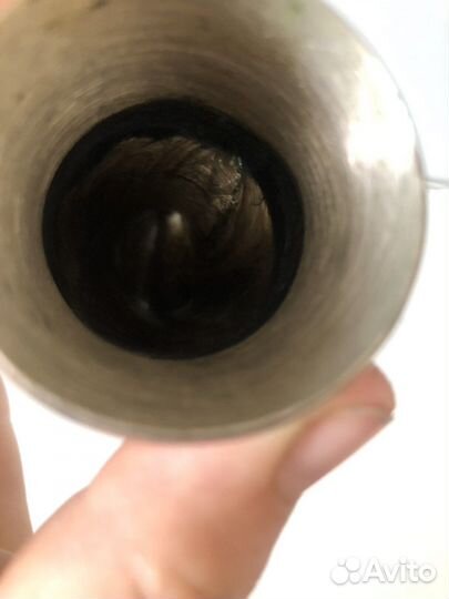 Рог сувенирный настаящий