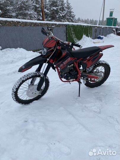 BSE Z 10