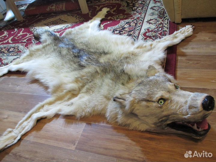 Шкура волка (ковёр)