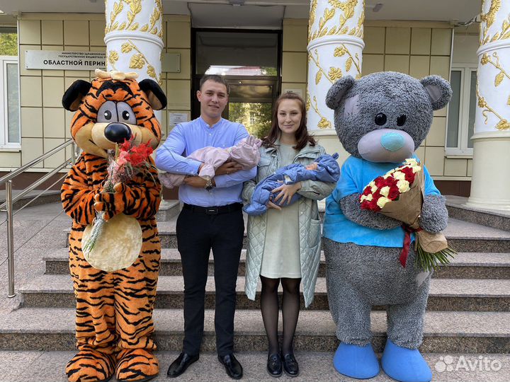 Ростовая кукла Мишка Тедди