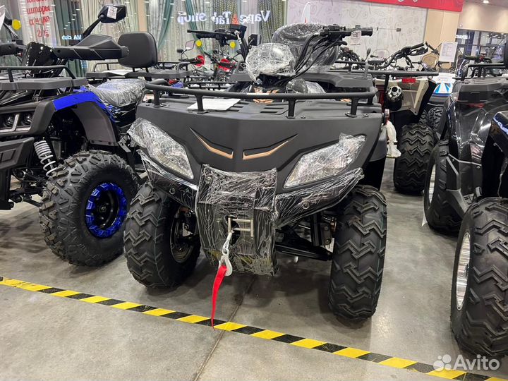 Квадроцикл rato roush 250 (новый)