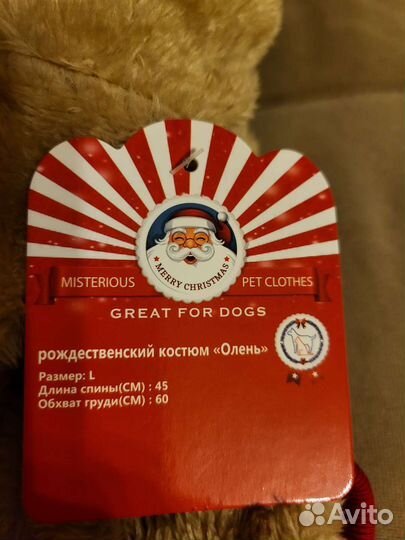 Костюм для собаки