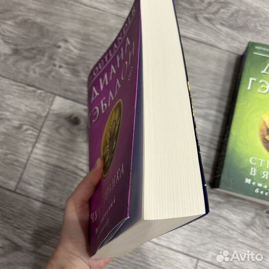 Чужестранка и Стрекоза в янтаре