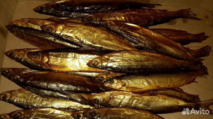 Копченая Ряпушка