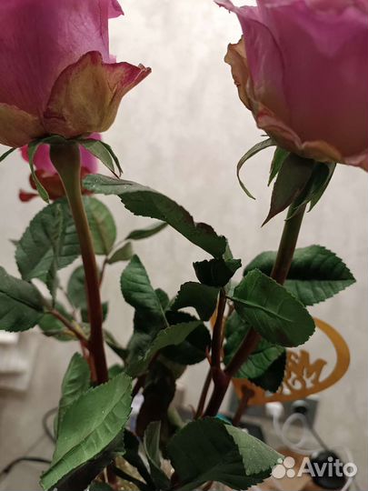 Розы из полимерной глины