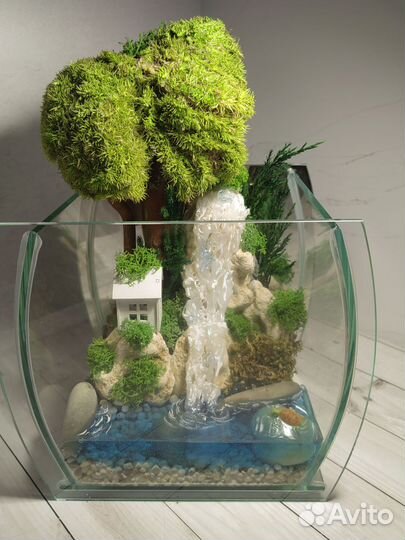 Флорариум