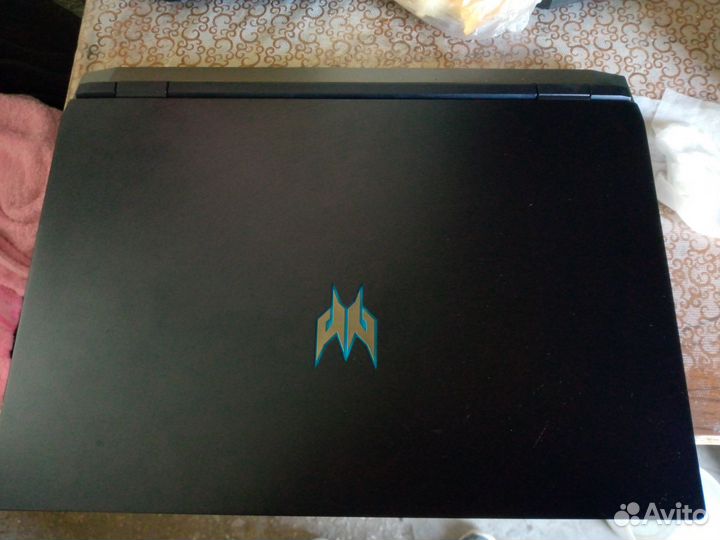 Acer predator