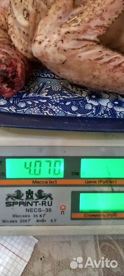 Мясо домашнего бройлера