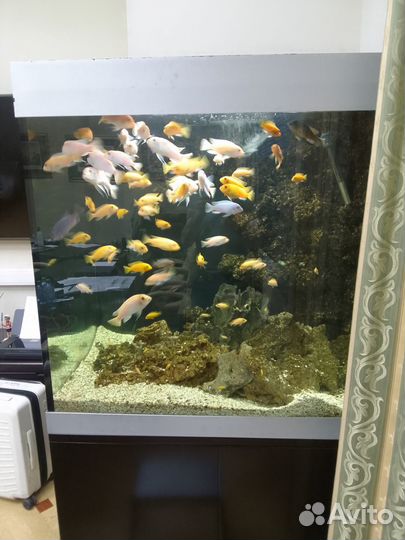 Ремонт аквариумов