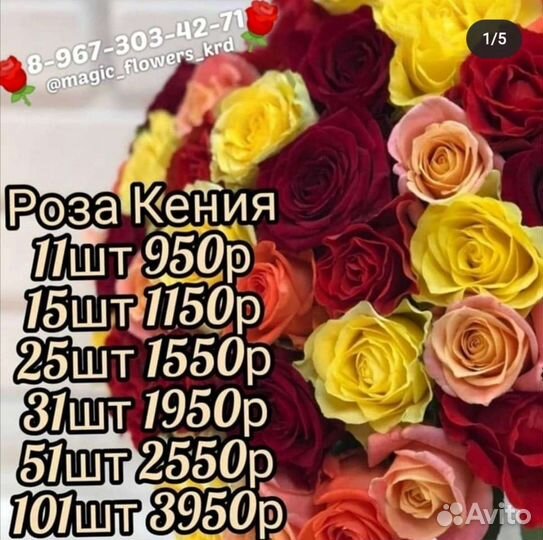 Цветы Розы Букеты мишки