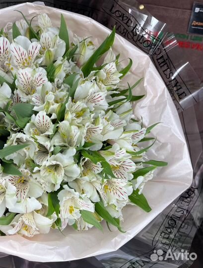 Букет из 17 альстромерий в круглом оформлении