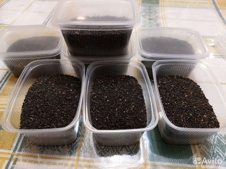 Пжвм (продукты жизнедеятельности восковой моли)