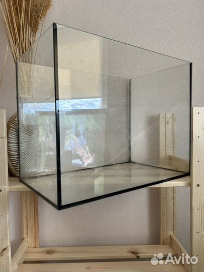 Аквариум, террариум