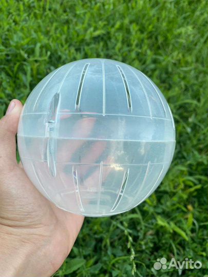 Шар для выгуга хомяка