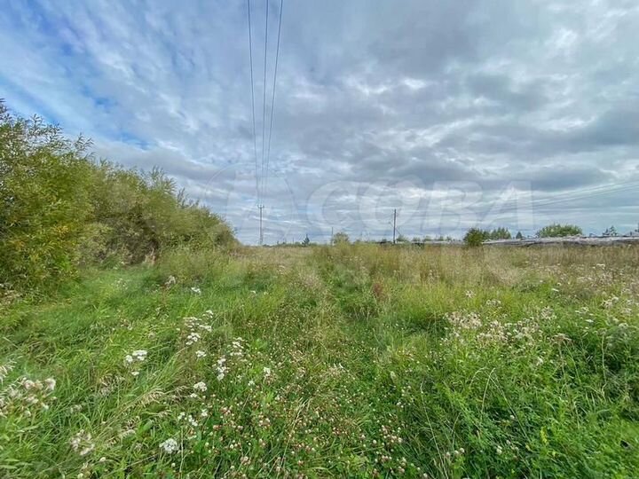 Участок 20 сот. (ИЖС)