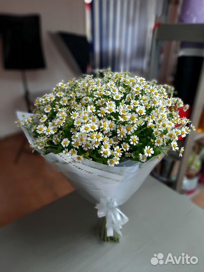 Ромашки Букет из ромашек доставка
