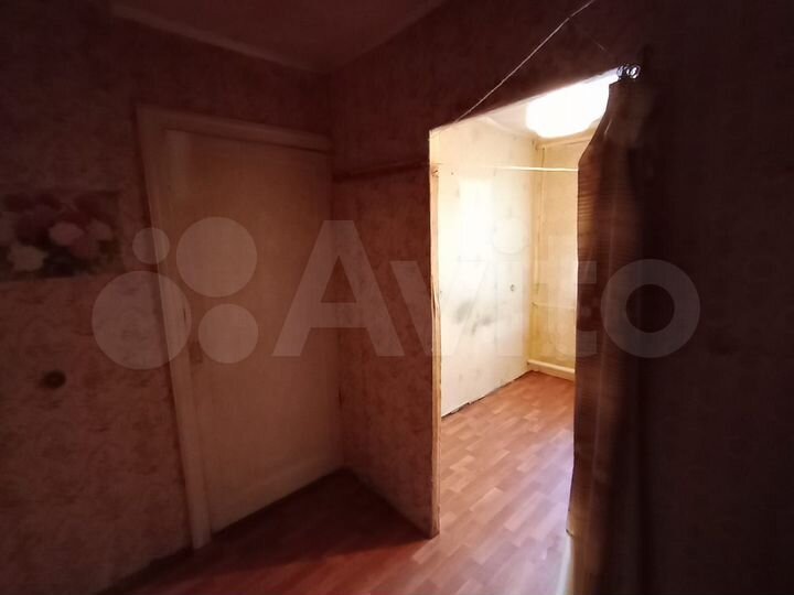 1-к. квартира, 23,7 м², 1/2 эт.