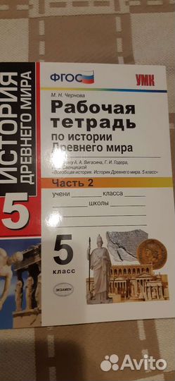 Рабочие тетради 5 класс