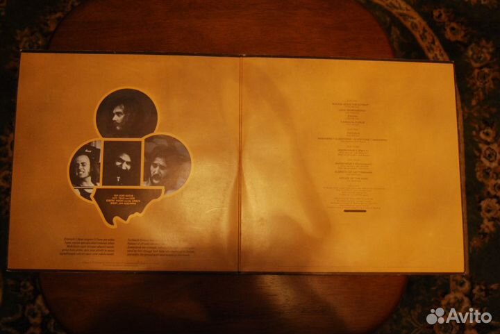 LP Focus- 