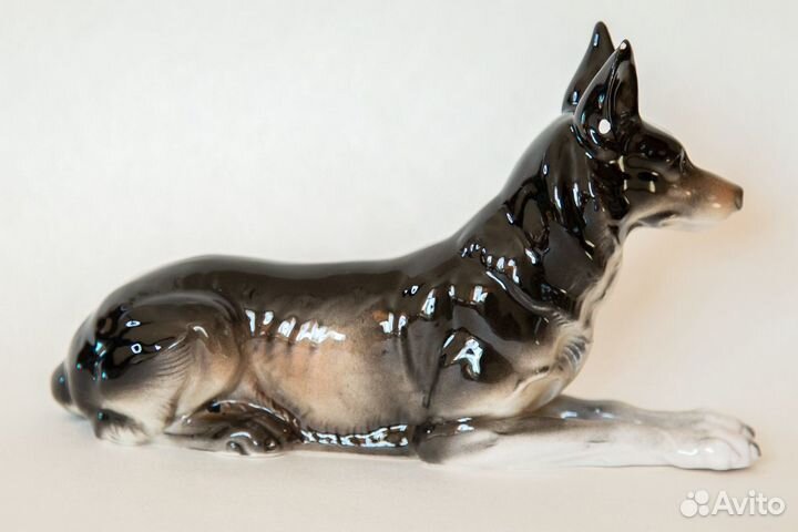 Овчарка гдр