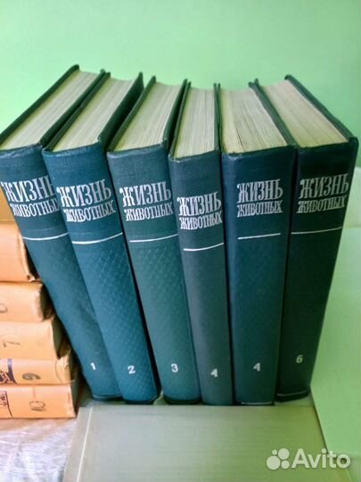 Детская энциклопедия СССР