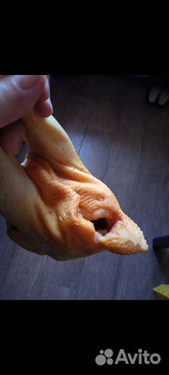 Курочки домашние